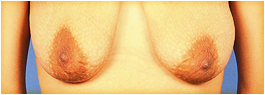 soft breasts photo
